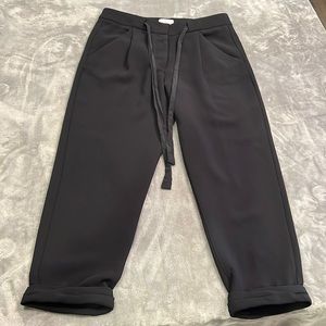 Aritzia Wilshire Allant Ankle tie waist pant